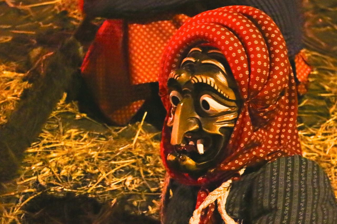 fasnet_10.jpg