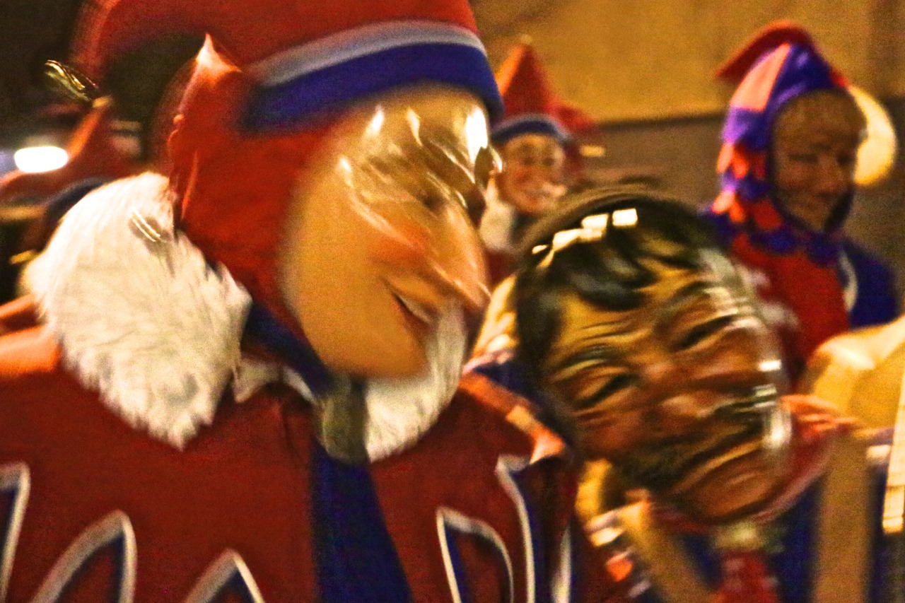 fasnet_11.jpg