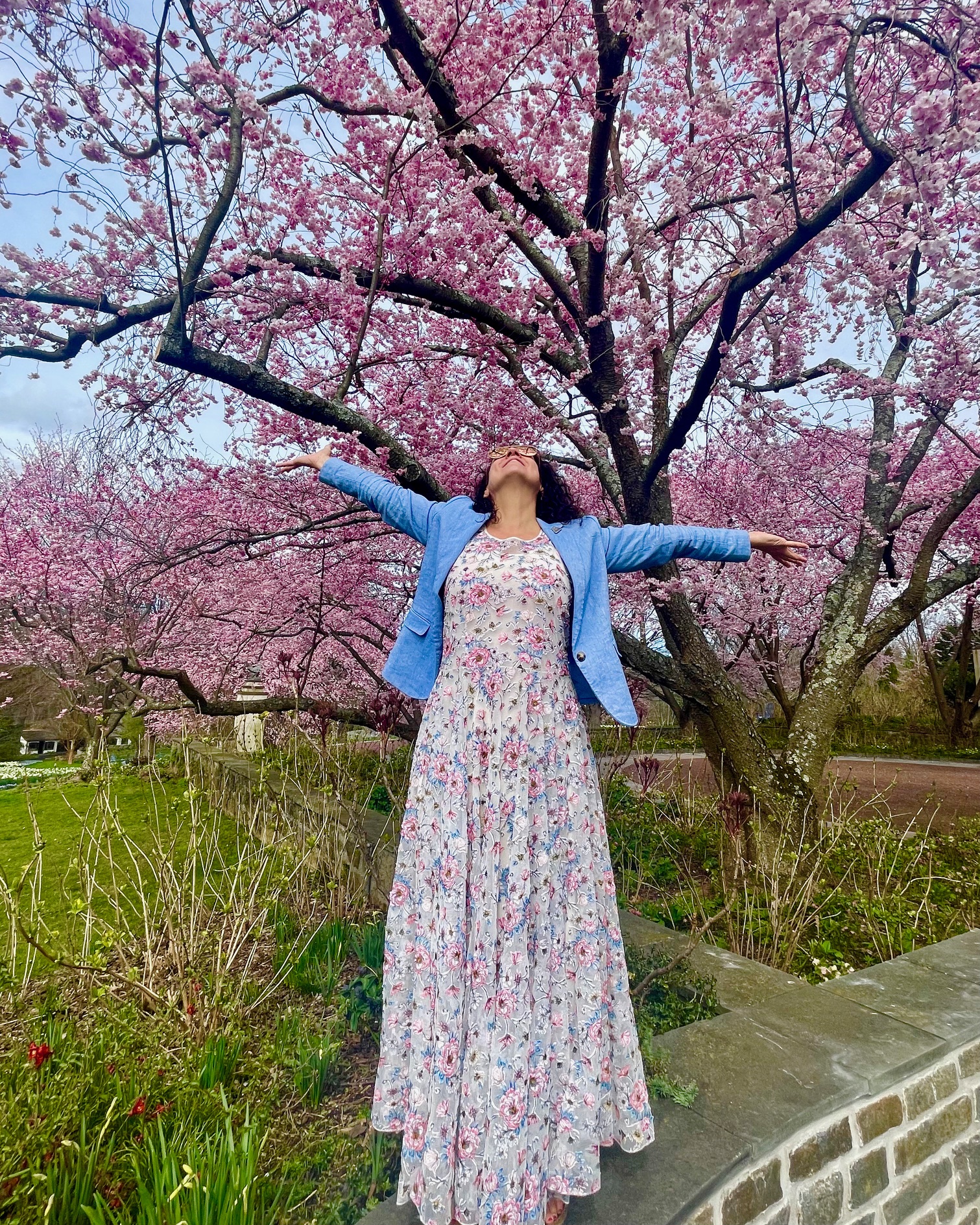 Kristen Ghodsee Sakura  2024