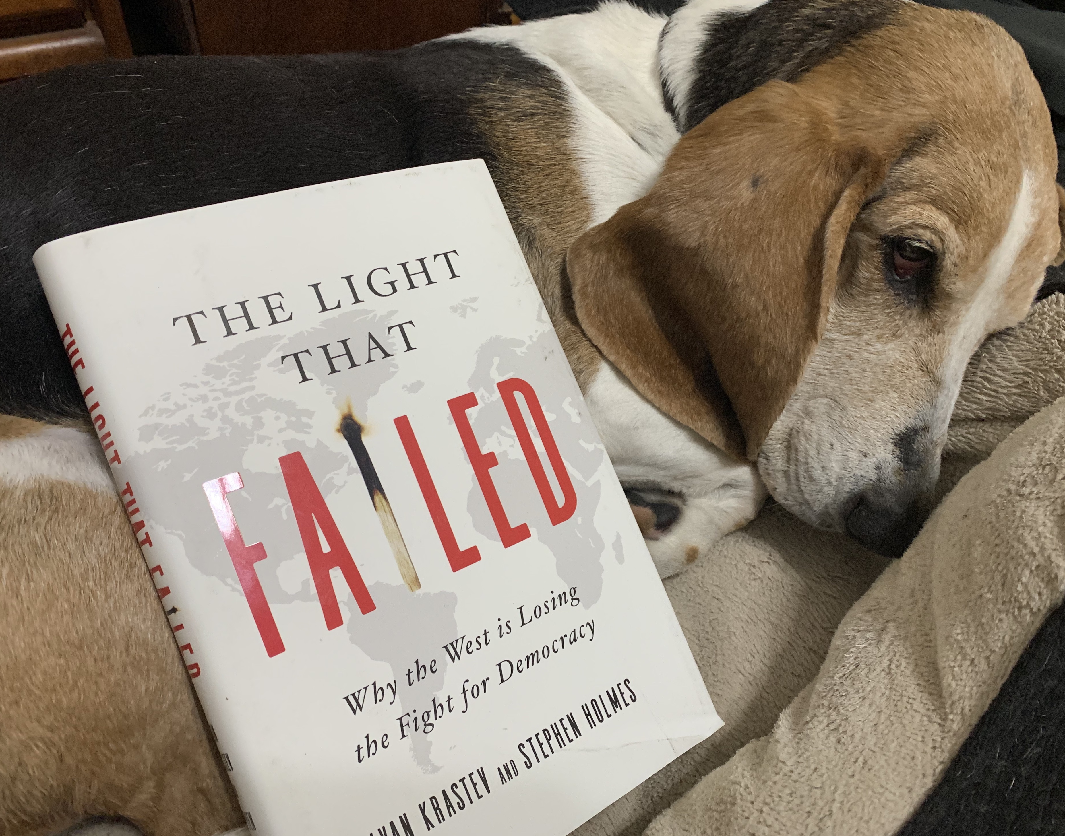 The light that failed